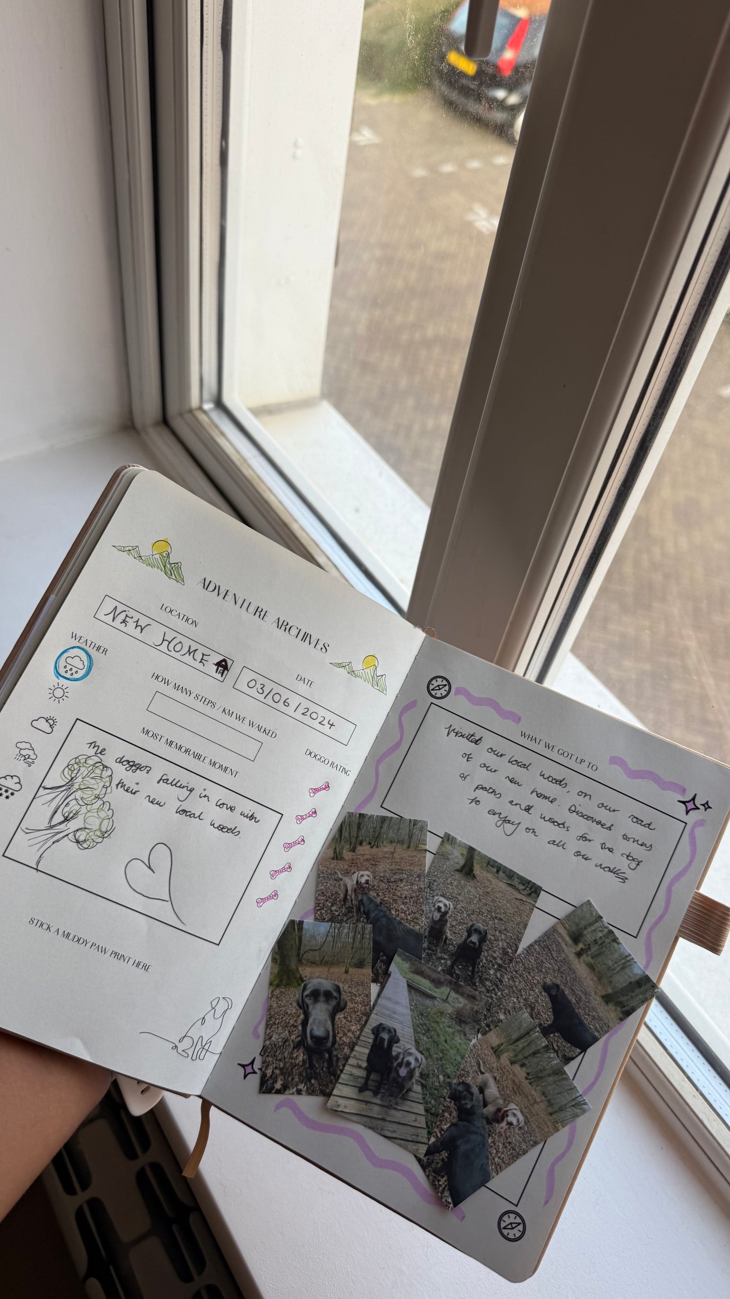 The Eco-Friendly Dog Adventure and Personal-Growth Journal