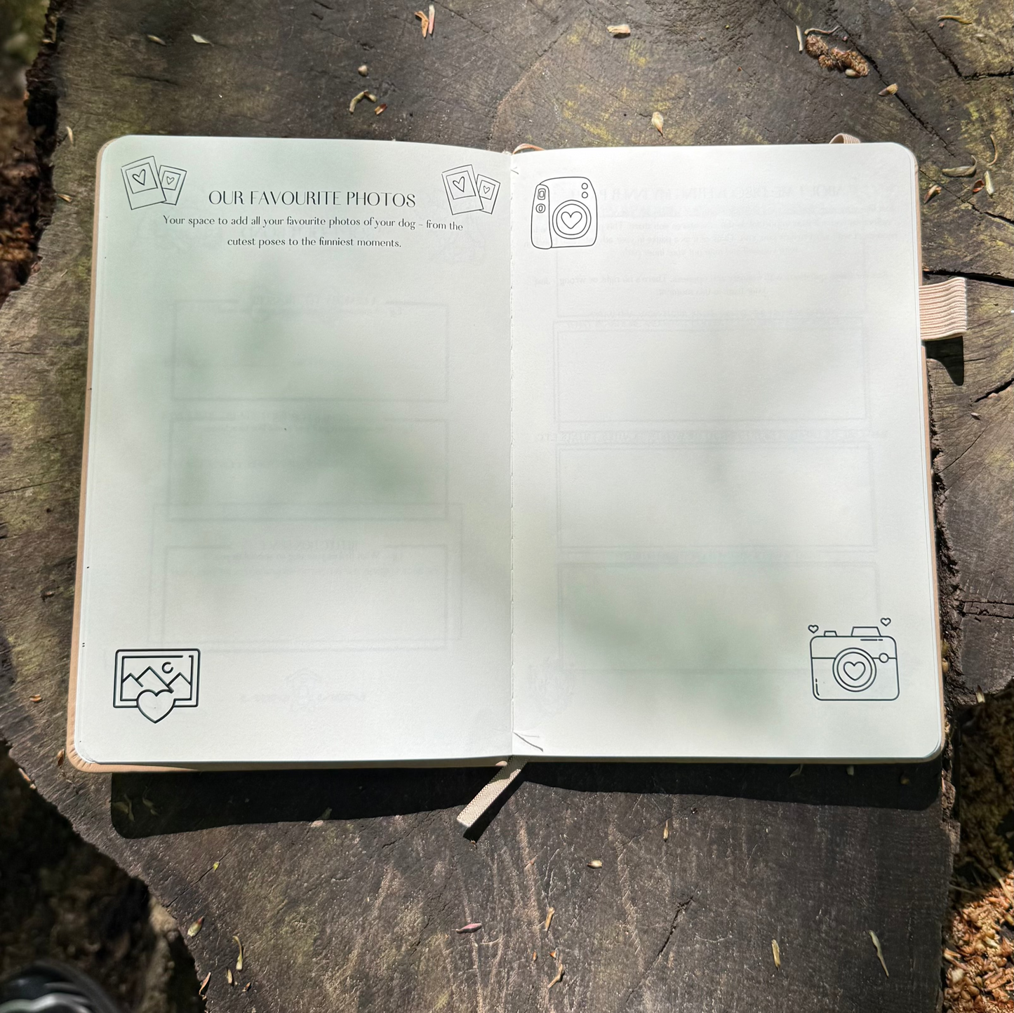 The Eco-Friendly Dog Adventure and Personal-Growth Journal