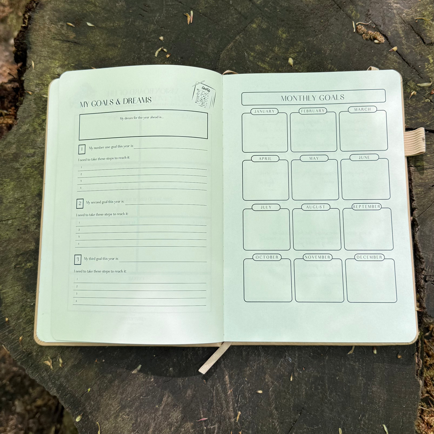 The Eco-Friendly Dog Adventure and Personal-Growth Journal