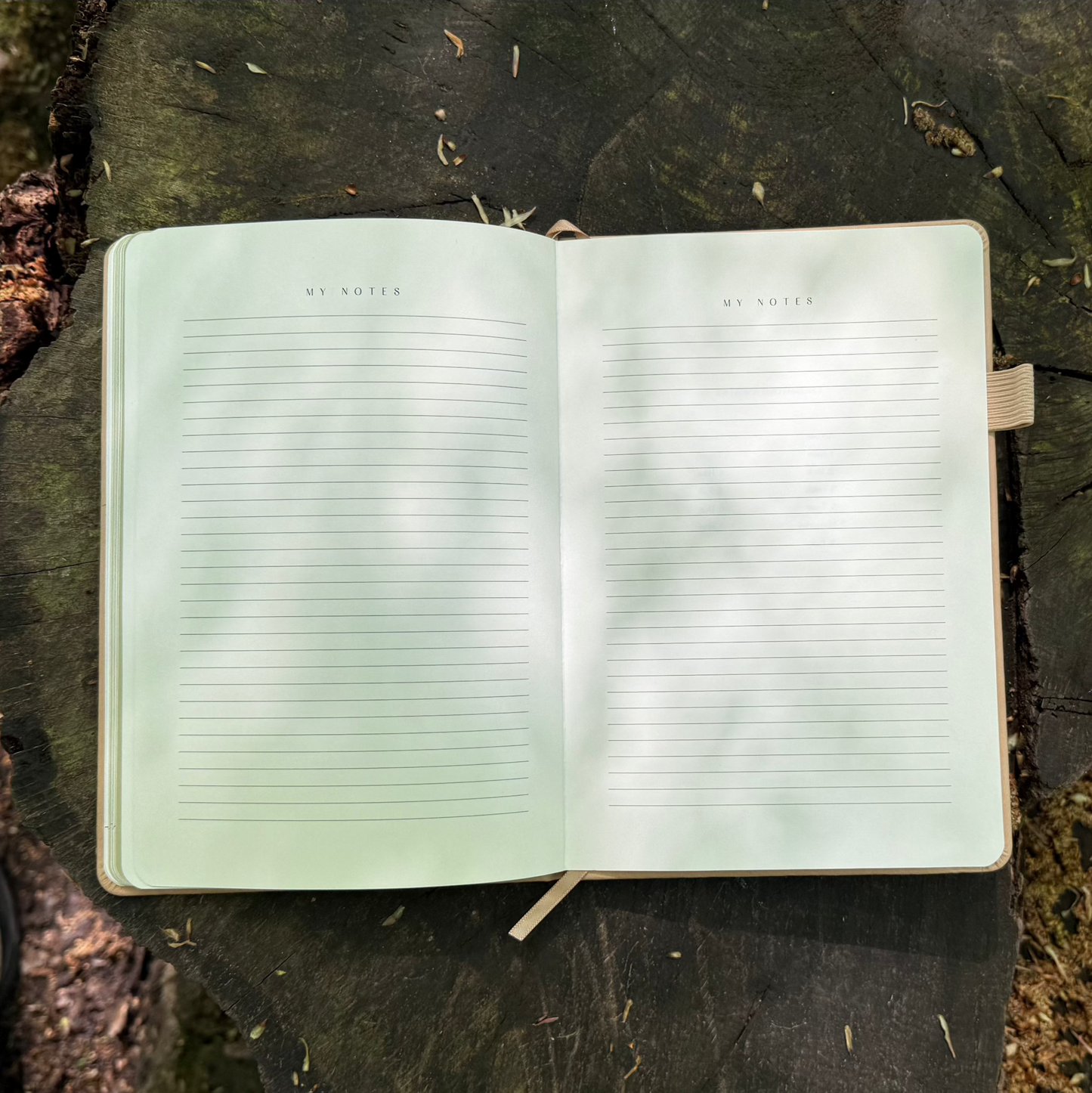 The Eco-Friendly Dog Adventure and Personal-Growth Journal